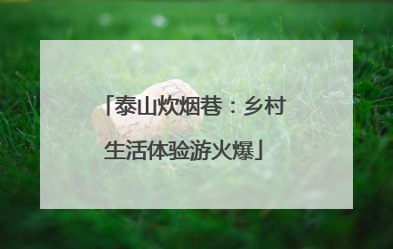 泰山炊烟巷：乡村生活体验游火爆