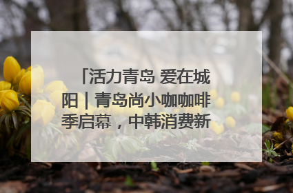 活力青岛 爱在城阳｜青岛尚小咖咖啡季启幕，中韩消费新场景点燃夏日热情