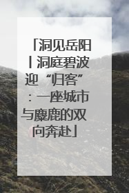 洞见岳阳丨洞庭碧波迎“归客”：一座城市与麋鹿的双向奔赴