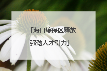 海口综保区释放强劲人才引力