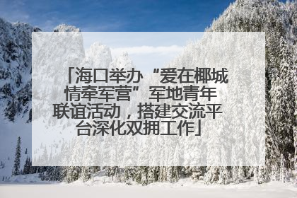 海口举办“爱在椰城 情牵军营”军地青年联谊活动，搭建交流平台深化双拥工作