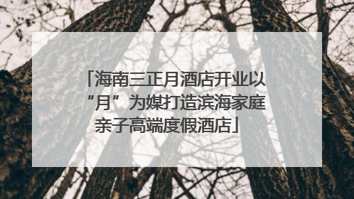 海南三正月酒店开业以“月”为媒打造滨海家庭亲子高端度假酒店