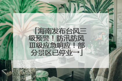 海南发布台风三级预警！防汛防风Ⅲ级应急响应！部分景区已停业→