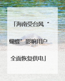 海南受台风“蝴蝶”影响用户全面恢复供电