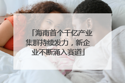 海南首个千亿产业集群持续发力，新企业不断涌入赛道