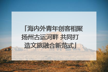 海内外青年创客相聚扬州古运河畔 共同打造文旅融合新范式
