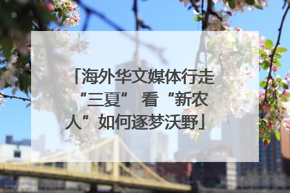 海外华文媒体行走“三夏” 看“新农人”如何逐梦沃野