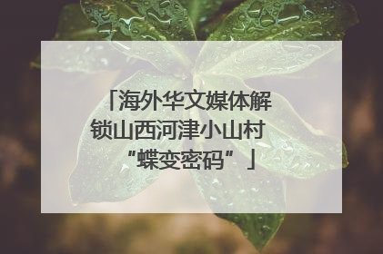 海外华文媒体解锁山西河津小山村“蝶变密码”