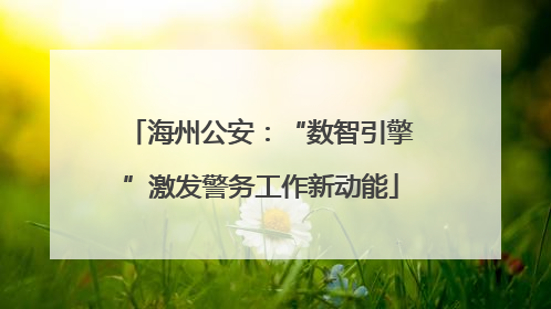 海州公安：“数智引擎”激发警务工作新动能