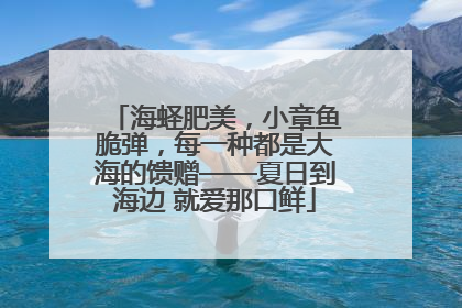 海蛏肥美，小章鱼脆弹，每一种都是大海的馈赠——夏日到海边 就爱那口鲜