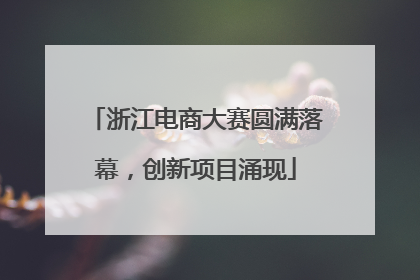 浙江电商大赛圆满落幕，创新项目涌现