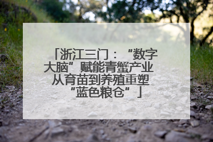 浙江三门：“数字大脑”赋能青蟹产业 从育苗到养殖重塑“蓝色粮仓”