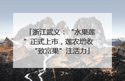 浙江武义：“水果莲”正式上市，莲农增收“致富果”注活力