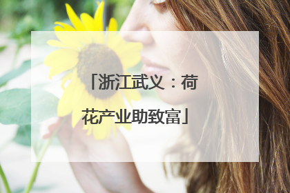 浙江武义：荷花产业助致富