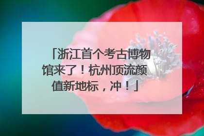 浙江首个考古博物馆来了！杭州顶流颜值新地标，冲！