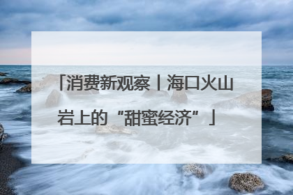 消费新观察丨海口火山岩上的“甜蜜经济”