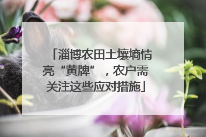 淄博农田土壤墒情亮“黄牌”，农户需关注这些应对措施