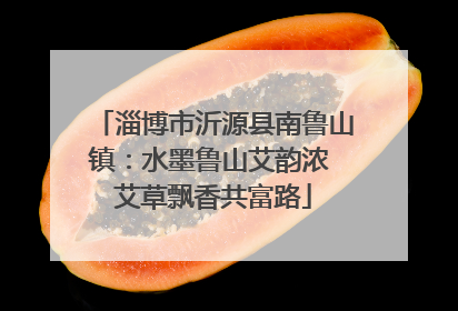 淄博市沂源县南鲁山镇：水墨鲁山艾韵浓 艾草飘香共富路