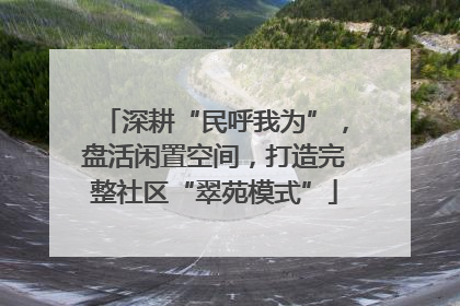 深耕“民呼我为”，盘活闲置空间，打造完整社区“翠苑模式”