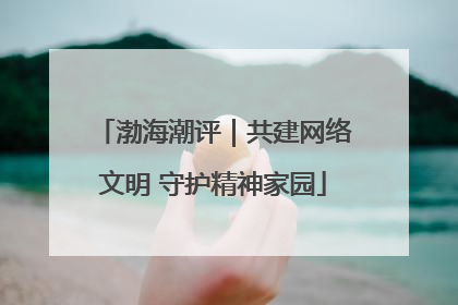 渤海潮评｜共建网络文明 守护精神家园