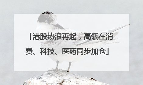 港股热浪再起，高瓴在消费、科技、医药同步加仓