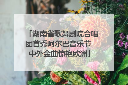 湖南省歌舞剧院合唱团首秀阿尔巴音乐节 中外金曲惊艳欧洲