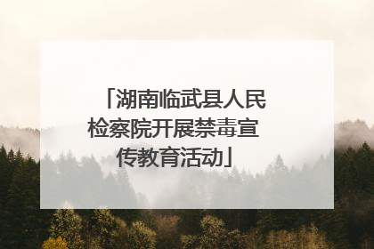 湖南临武县人民检察院开展禁毒宣传教育活动