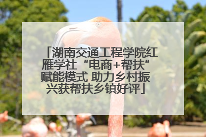 湖南交通工程学院红雁学社“电商+帮扶”赋能模式 助力乡村振兴获帮扶乡镇好评