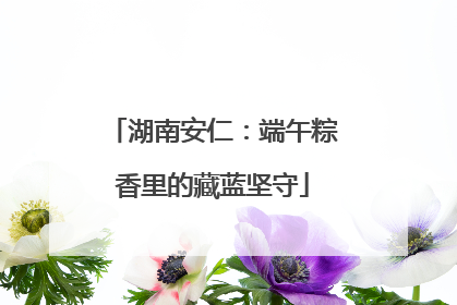 湖南安仁：端午粽香里的藏蓝坚守
