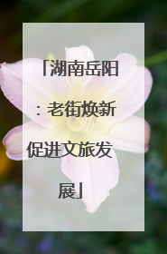 湖南岳阳：老街焕新促进文旅发展