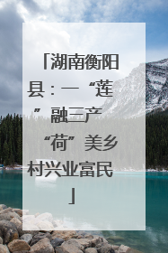 湖南衡阳县：一“莲”融三产 “荷”美乡村兴业富民