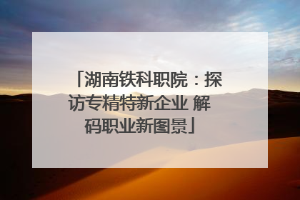 湖南铁科职院：探访专精特新企业 解码职业新图景