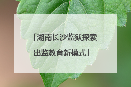 湖南长沙监狱探索出监教育新模式