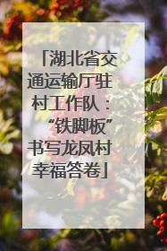 湖北省交通运输厅驻村工作队：“铁脚板”书写龙凤村幸福答卷
