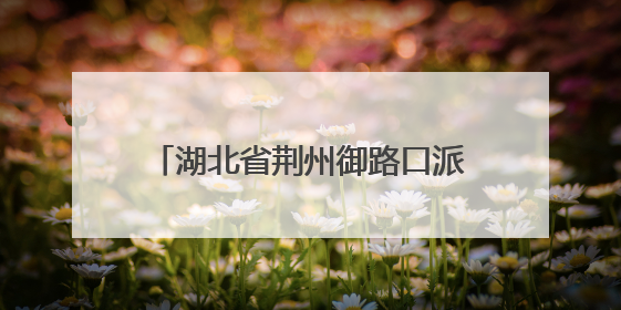湖北省荆州御路口派出所因地制宜，整合多方力量共建平安校园