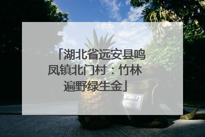 湖北省远安县鸣凤镇北门村：竹林遍野绿生金