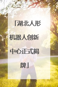 湖北人形机器人创新中心正式揭牌