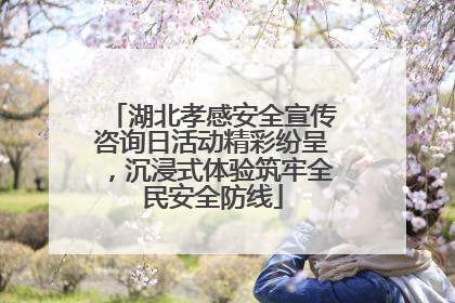 湖北孝感安全宣传咨询日活动精彩纷呈，沉浸式体验筑牢全民安全防线