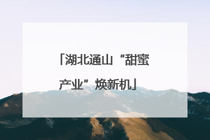 湖北通山“甜蜜产业”焕新机