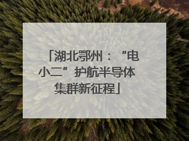 湖北鄂州：“电小二”护航半导体集群新征程