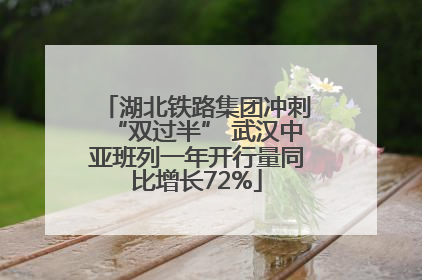 湖北铁路集团冲刺“双过半” 武汉中亚班列一年开行量同比增长72%
