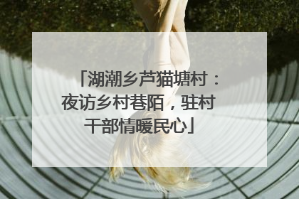 湖潮乡芦猫塘村：夜访乡村巷陌，驻村干部情暖民心