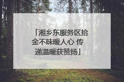 湘乡东服务区拾金不昧暖人心 传递温暖获赞扬