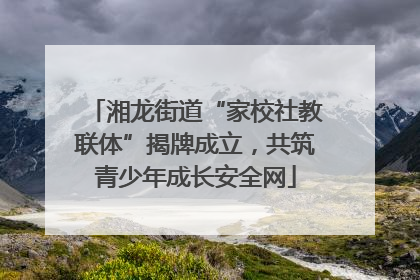 湘龙街道“家校社教联体”揭牌成立，共筑青少年成长安全网