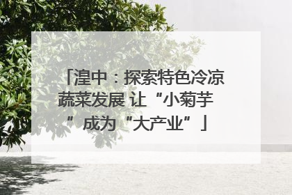 湟中：探索特色冷凉蔬菜发展 让“小菊芋”成为“大产业”