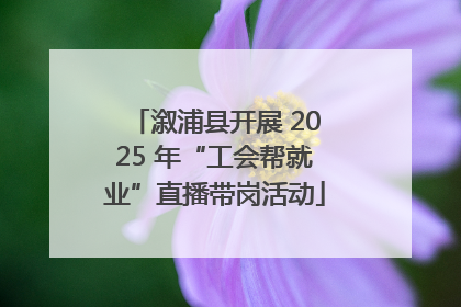 溆浦县开展 2025 年“工会帮就业”直播带岗活动