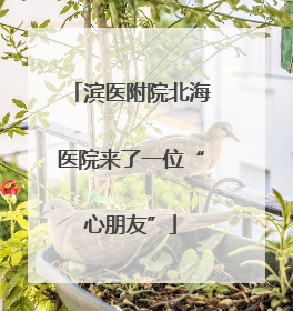 滨医附院北海医院来了一位“心朋友”