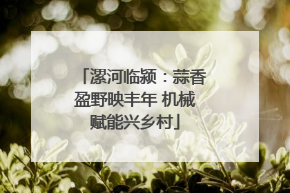 漯河临颍：蒜香盈野映丰年 机械赋能兴乡村