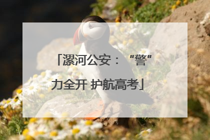 漯河公安：“警”力全开 护航高考