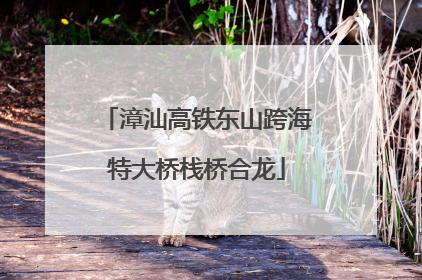漳汕高铁东山跨海特大桥栈桥合龙